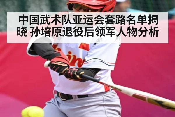 中国武术队亚运会套路名单揭晓 孙培原退役后领军人物分析
